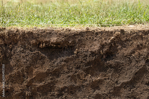 Soil cross section layer with green grass turf on top