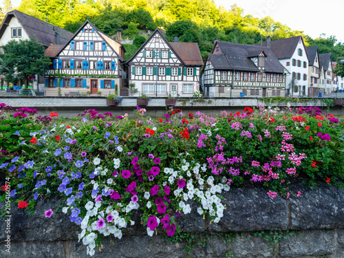 Flower Garden and Half-Timbered Houses in Schiltach
