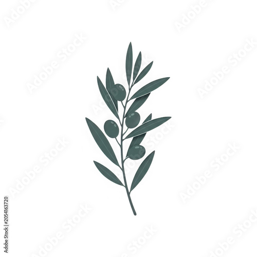 Simple black and white laurel branch illustration