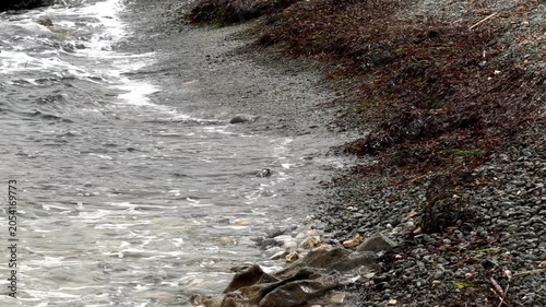 Waves crashing against a rocky shore under a cloudy, gray sky