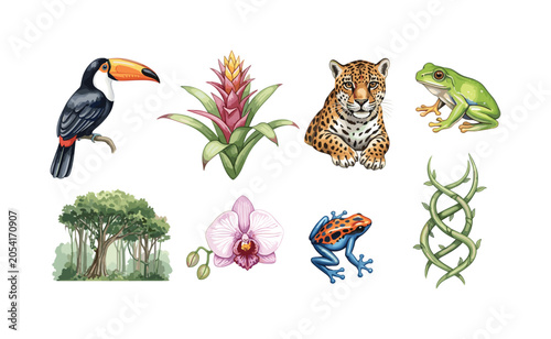 Vibrant Amazon rainforest wildlife and flora collection with toucan, jaguar, and frogs