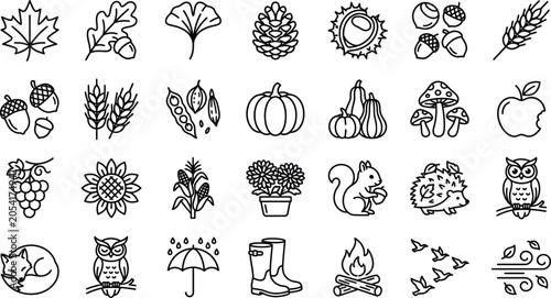 Autumn Icon Set Minimalist Fall Line Art Vector Elements Bundle