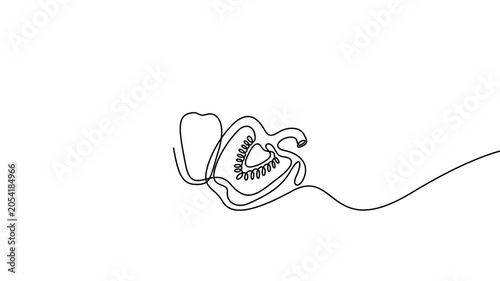 Bell pepper continuous line drawing animation showing fresh vegetables on white background. Minimal line art animation of whole and sliced bell peppers for healthy food concepts.