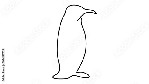 Penguin animation in continuous line drawing style for wildlife and nature concepts. Minimalist single line art animation of an antarctic penguin on a white background.