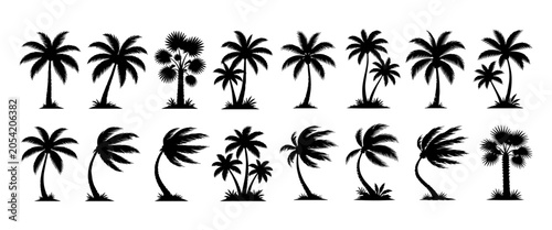 Obraz na plátne Set de siluetas negras de palmeras de coco de playa con viento tropical
