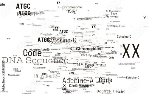 Bild auf Leinwand DNA, RNA, X and Y chromsome, biotechnology, word cloud