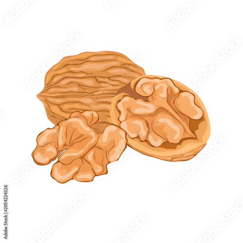 Walnut Whole Half and Kernel Collection