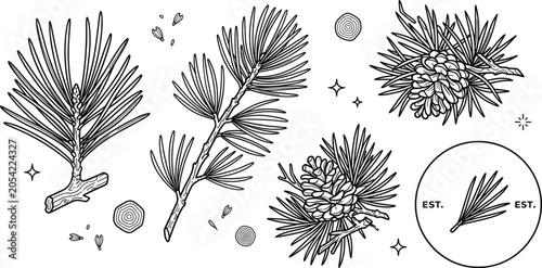 Photos Pine Tree Branch Cone Forestry Logo Stamp Vector Line Icon Art Set