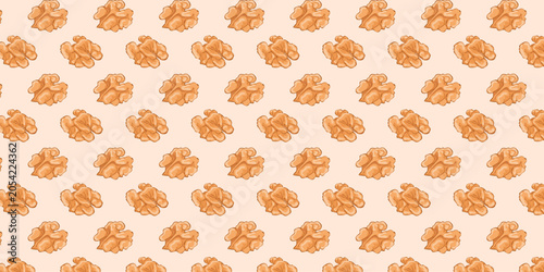 Seamless Pattern Walnut Kernel Collection