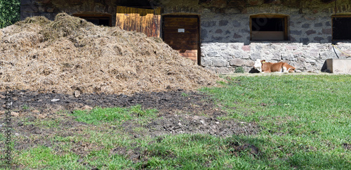 Fotografie characteristic farmhouse and agricultural company in Val di Funes, an area of south tyrol  S
