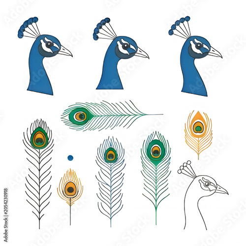Peacock heads and plumage feathers set with feathers illustration isolated colorful wildlife collection decoration decorative creature
