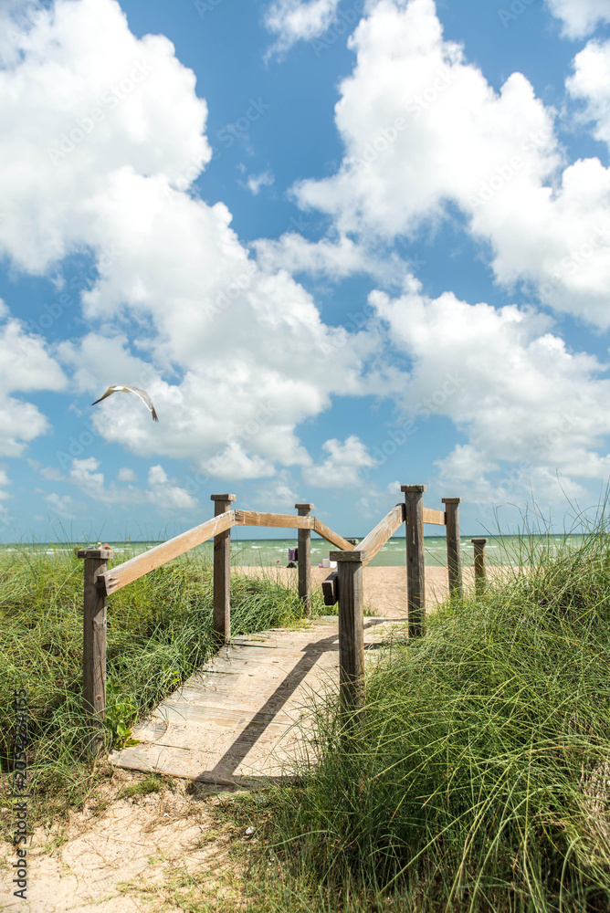 Fototapeta premium bridge path to the sea