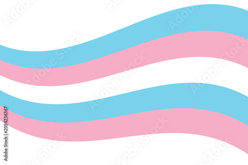 Obraz na plátne A horizontal striped flag representing the transgender community, featuring shades of blue, white and pink