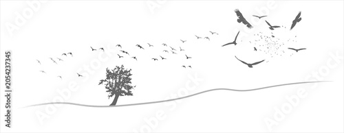 Flying birds created with clean lines. Vector images.