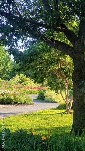 Beautiful green park with a winding path and blooming flowers on a sunny summer day