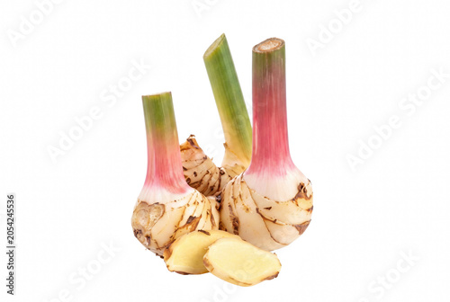 Fotografie Fresh galangal rhizomes with stalks and slices