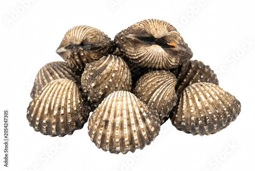 Bild auf Leinwand Fresh raw blood cockles also known as Anadara granosa