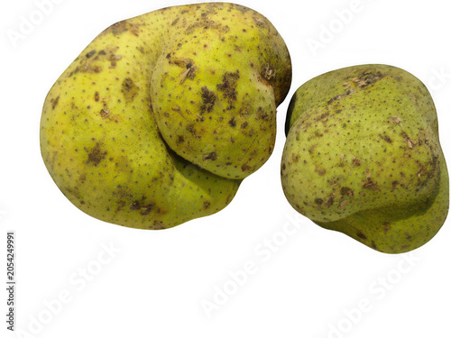 Bilde på lerret Two organic green potatoes with earthy texture and slight imperfections