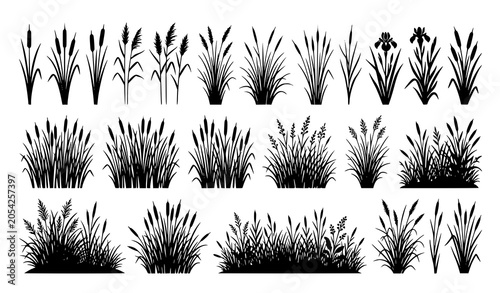 Photos Wild cattail and reed silhouette vector with swamp and coastal plant elements