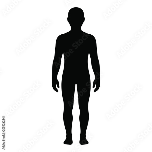 Male body anatomy silhouette isolated human figure vector illustration