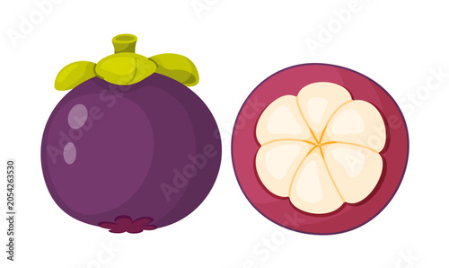 Bilde på lerret Tropical purple mangosteen fruit set