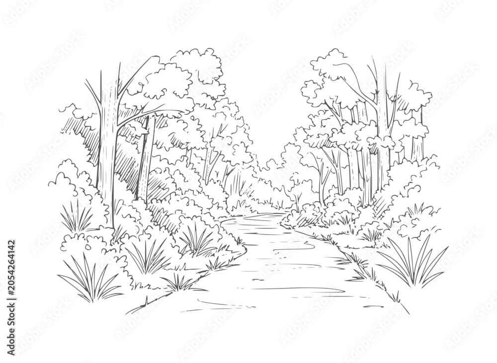 Fototapeta premium Winding forest path beside a stream with trees and foliage