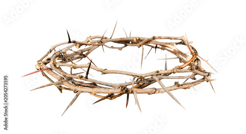 Schilderij op canvas crown of thorns
