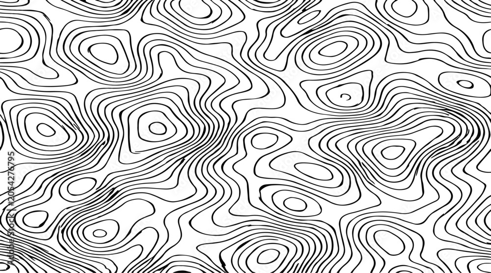 Obraz premium abstract topographic contour lines vector illustration design black and white monochrome abstract landscape texture, decorative cartographic elements and contemporary graphic artwork for backgrounds.