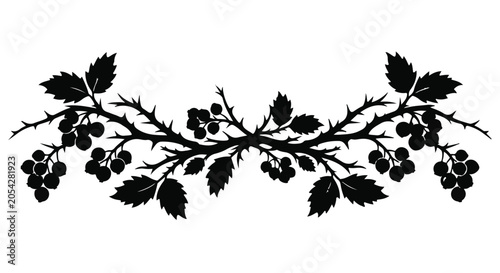 Blackberry branches form a decorative botanical border for elegant design projects.
