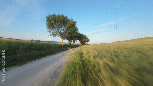 Rural road between crops and power lines at sunset.