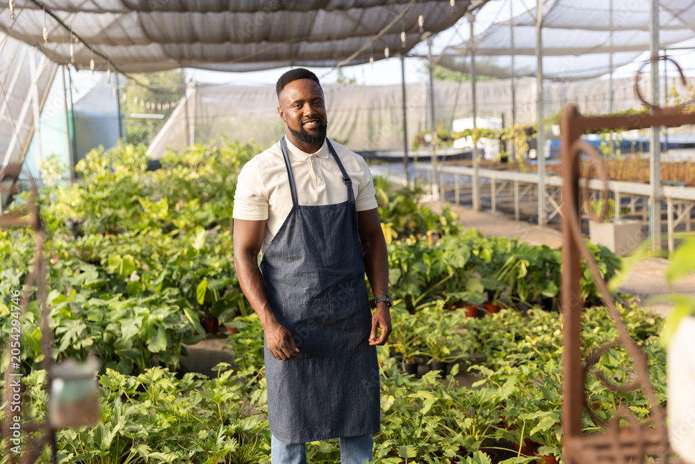 Obraz premium Mid adult African American man standing in greenhouse wearing denim apron and inspecting plants
