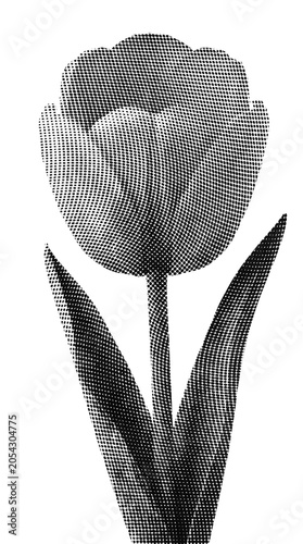 Halftone Tulip Flower Illustration with Leaves and Stem in Black and White PNG Isolated on transparent background