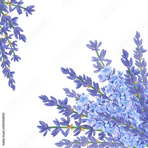 Quadro em tela Lavender flowers sprigs