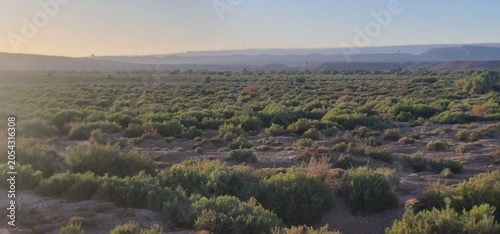 Cuadro en lienzo Vast Green Scrubland with Layered Mountains at Golden Hour