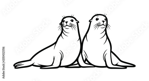 Photography Two seals depicted in a black and white line drawing silhouette seal