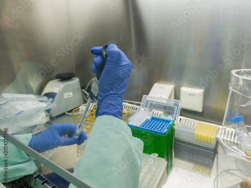 Brussels, Belgium. Scientist performing pipetting of biological samples under laminar flow hood in biosafety level 2 laboratory