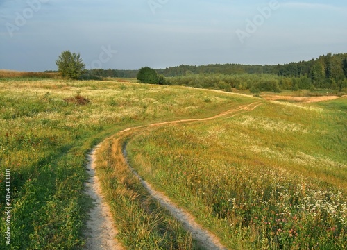 A dirt road among summer hills. An ideal secluded spot for cycling and long walks. Poland, Masuria. Bukowa Gora.