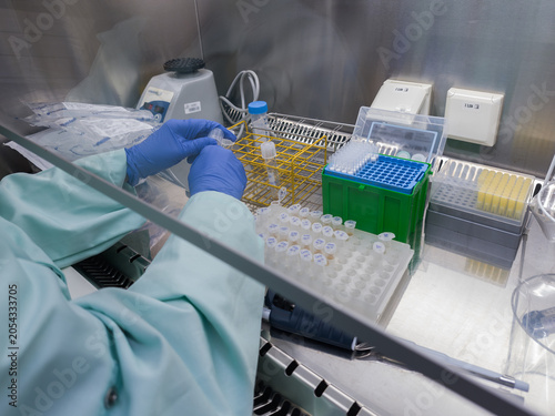 Brussels, Belgium. Scientist organizing and handling labeled biological sample tubes under laminar flow hood in biosafety level 2 laboratory