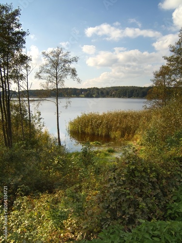A view of a peaceful lake in the Polish Lake District surrounded by dense green forest. The calm water surface and white clouds create a perfect autumn landscape in North-Eastern Poland.