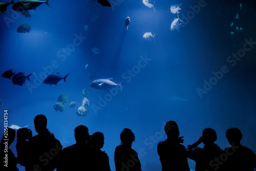 Fototapeta na wymiar Oceanarium - Zoo Wrocław
