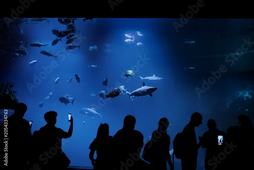 Obraz Oceanarium - Zoo Wrocław