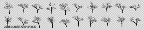 Fotografía Mega collection of 20 black bare tree silhouettes