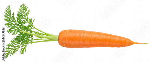 Canvastavla Fresh whole orange carrot with green leafy tops