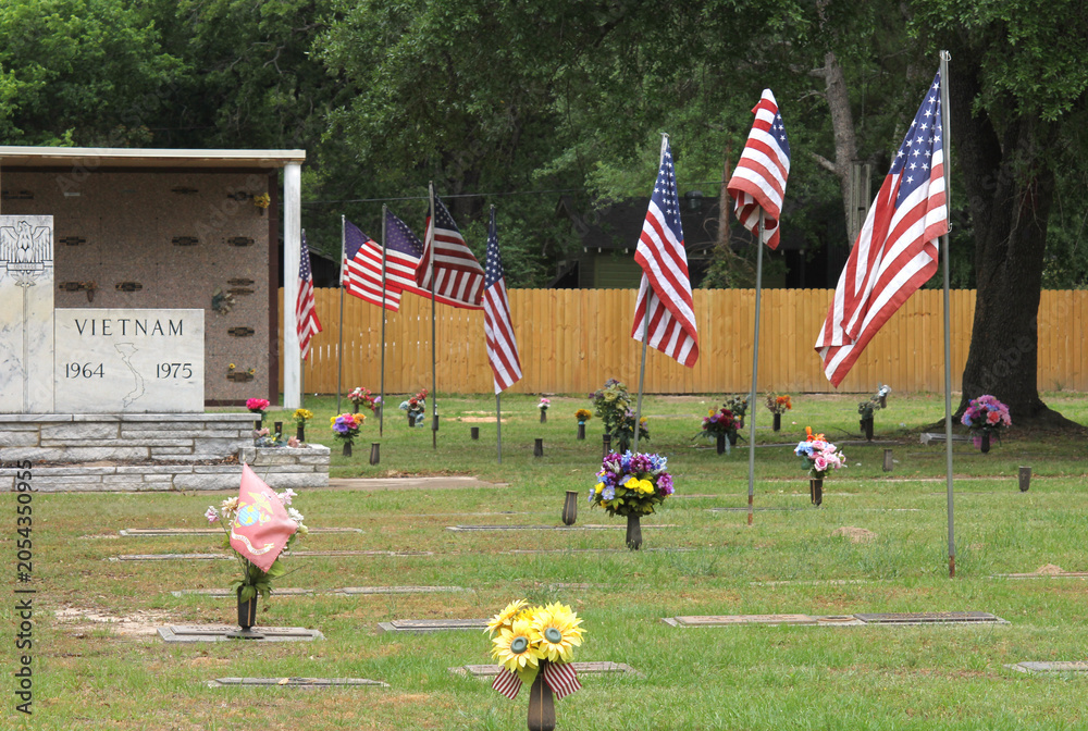 Obraz premium Vietnam War Memorial in Cemetery With American Flag. Memorial Cemetery Tyler TX