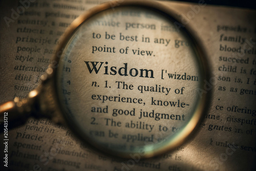 Discovering Wisdom: Magnifying Dictionary Definition
