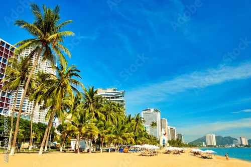 A striking serene view of a palm tree with vibrant green leaves against a clear blue sky, capturing the essence of tropical beauty on a hot sunny day. 