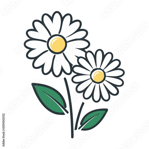 Flat Daisy Flowers Illustration