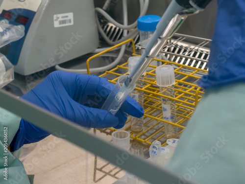 Brussels, Belgium. Scientist pipetting biological sample into test tube under laminar flow hood in biosafety level 2 laboratory