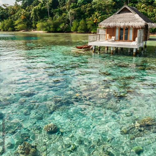 Overwater Bungalow Paradise: A charming overwater bungalow with a thatched roof sits nestled in crystal-clear turquoise waters, surrounded by lush tropical greenery and coral reefs.