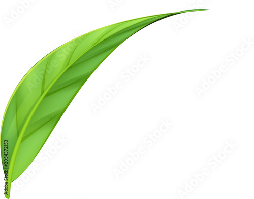 Green Leaves illustration, leaf, environment, natural,eco on transparent, png. Foliage. Spring botanical illustration.